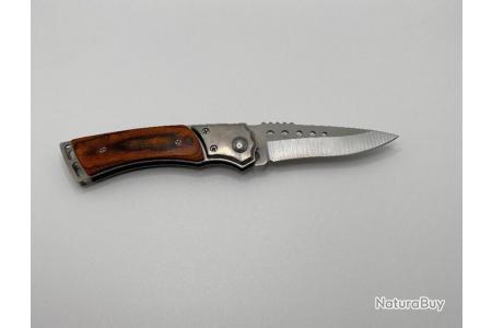Petit couteau pliant, lame acier inoxydable, toute activité - Couteaux  pliants classiques (10456852)