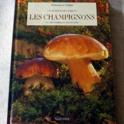 Livre : Les champignons et les termes de mycologie - un dictionnaire complet