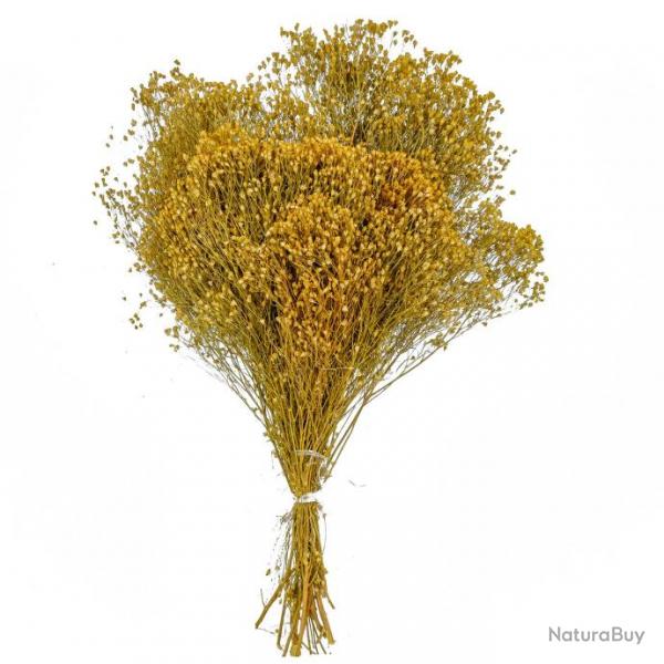 Bouquet fleurs sches broom bloom - 50 cm