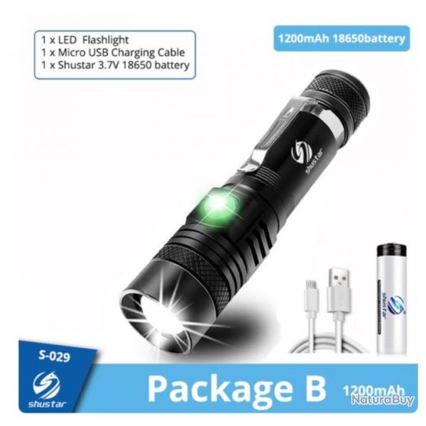 Lampe de poche ULTRA PUISSANTE avec batterie et cordon de charge