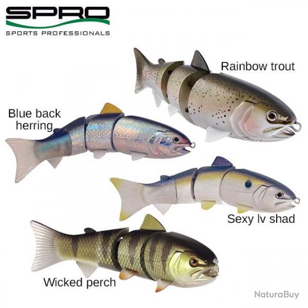 Leurre Spro Swimbait SB60 Fast Sinking 15cm 71g Rainbow Trout