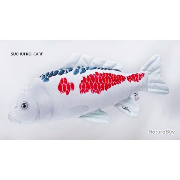 Carpe Ko Sushui 60cm