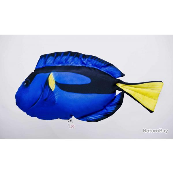 Chirurgien bleu 56cm