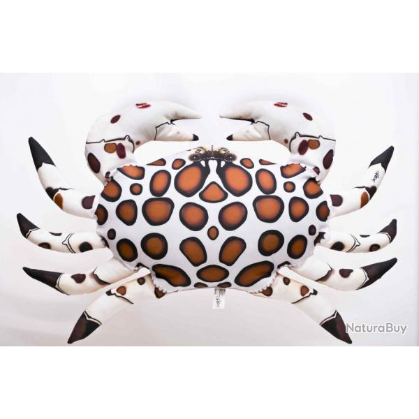 Crabe calico 60cm