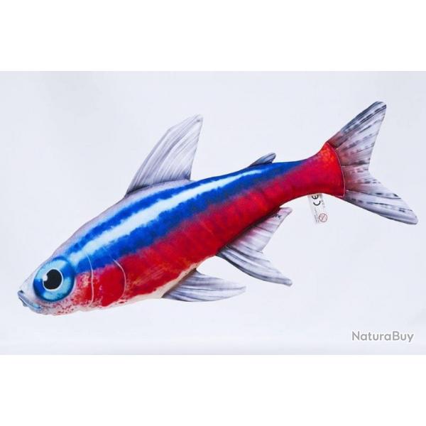 Neon tetra 53cm