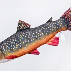 Omble de fontaine 62cm