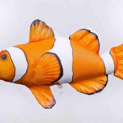 Poisson clown 56cm