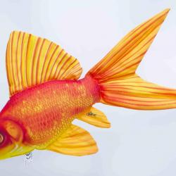 Poisson rouge 50cm