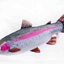 Truite arc en ciel 62cm