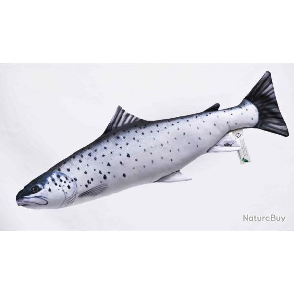 Truite de mer 51cm