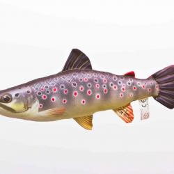 Truite Fario 35cm