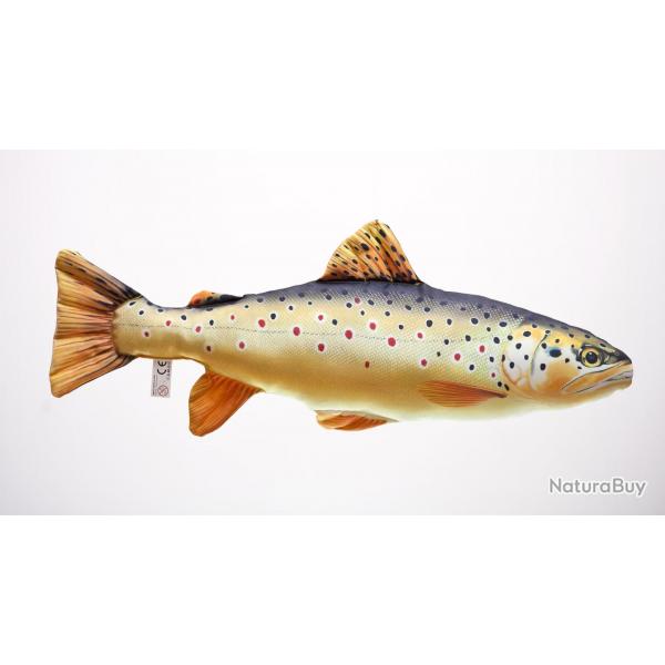 Truite Fario 62cm