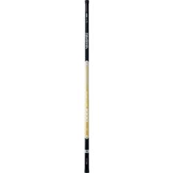 Kit Power Daiwa Giant Carp 292 AF 2,90M