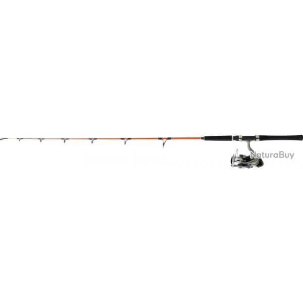 Ensemble Daiwa Mer Bateau Sweepfire 02 - 1.24m 50-100g + DF4000A