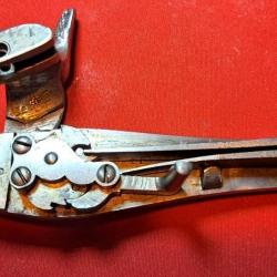 Platine   Albini-Braendlin model 1867.. PL 4