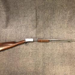 Carabine Winchester 1906 calibre 22LR