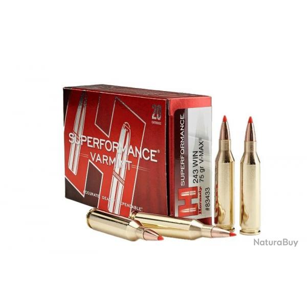 BALLES HORNADY CAL.243WIN SUPERFORMANCE VARMINT V-MAX 75GR PAR 60