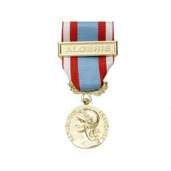 Médaille Commemo AFN