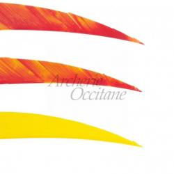 WILD MOUNTAIN PLUMES NAT. 4" COMBO JAUNE/ROUGE/ROUGE