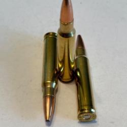 Balles SOLOGNE Klassic Hornady Interlock Soft Point 16,2 gr 250 grains cal 338 WIN MAG