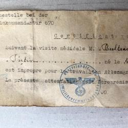 Fragment de certificat médical allemand IIIème reich