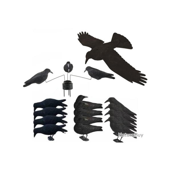 Pack PLATINIUM 12 appelants, EVA et mange  corbeaux