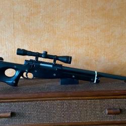 AW308 Sniper Airsoft