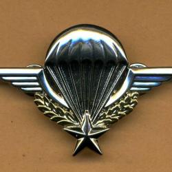 Insigne brevet parachutiste fixation pin's