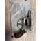 petites annonces chasse pêche : Bulldog wachington central 320