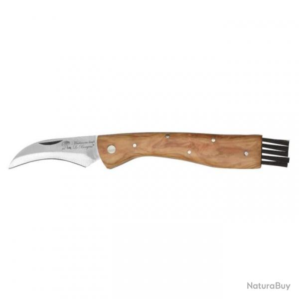 Couteau  champignon avec manche en bois de teck et brosse Sans cordon
