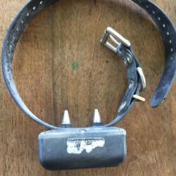 Collier de dressage Dogtra