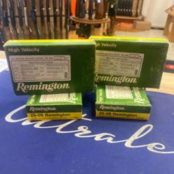 Remington 25-06 core lokt