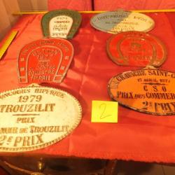 6 plaques de récompense de concours hippiques. CHEVAUX PLAQUE CONCOURS HIPPIQUE                  (2)