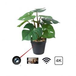 Fausse Plante Caméra 4k Wifi avec accès aux images en direct depuis son téléphone