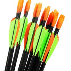Lot de 6 flèches d'initiation en carbone 750 (diam. 5.5)