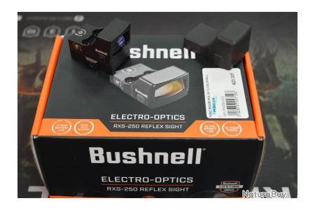 Point rouge bushnell rxs-100 1x25