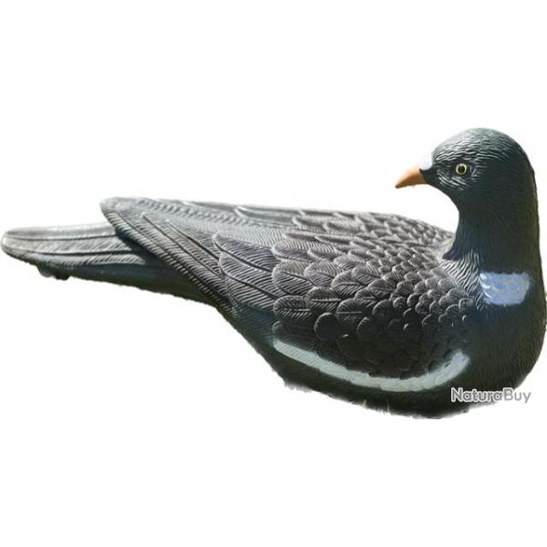 Forme de pigeon guetteur x 12