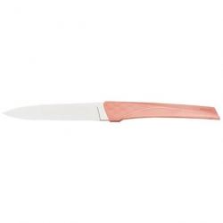 Coffret 6 couteaux de table Florinox Kiana - 22,6 cm / Terracotta