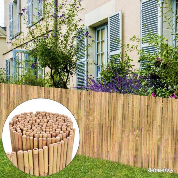 Clture Bambou 300 x 100 cm
