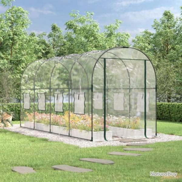 Serre Transparent 160x400x190 cm PVC et acier enduit de poudre