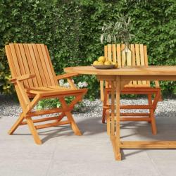 Chaises de jardin pliantes 2 pcs 61x67x90 cm bois massif teck