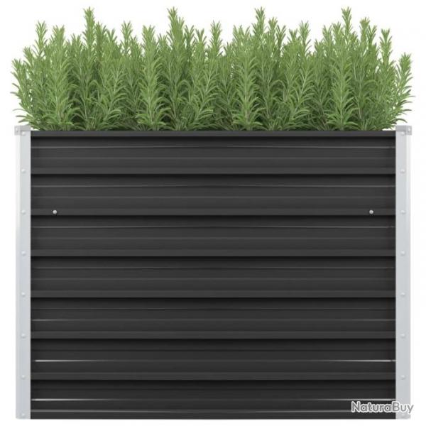 Lit surlev de jardin Anthracite 100x40x77 cm Acier galvanis