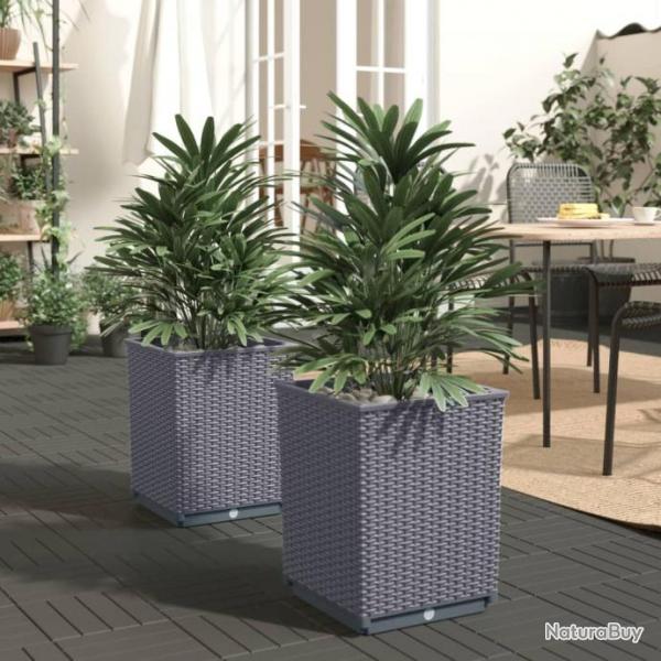 Jardinires 2 pcs gris fonc 30x30x37 cm polypropylne