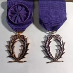 2 médailles Palmes Académiques