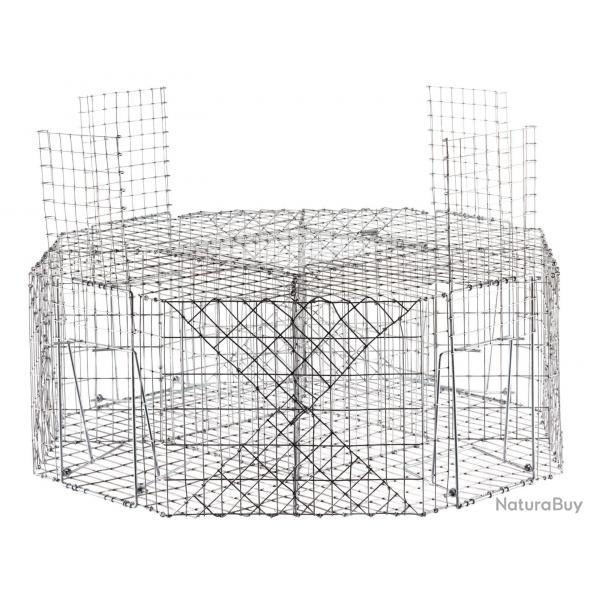 Cage  pies - A53508