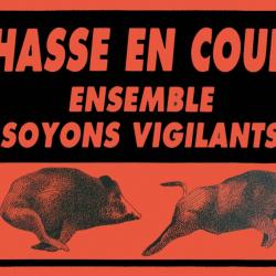 Panneau ''Attention chasse en cours'' 60 x 40 cm - Akilux - A50810