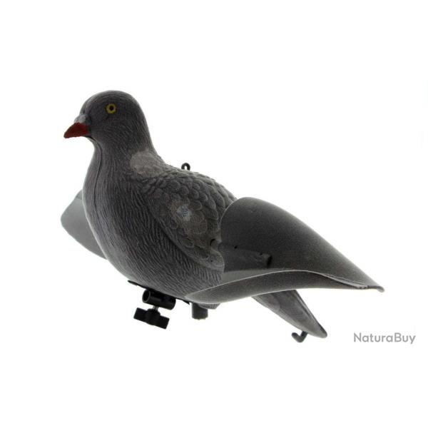 Appelant pigeon ailes tournantes - AP885