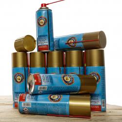 Pack de 12 aérosols d'huile Armistol pour arme - PCKEN3150