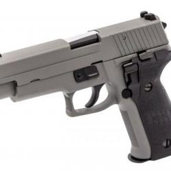 Réplique GBB Raven R226 Gris - PG3132