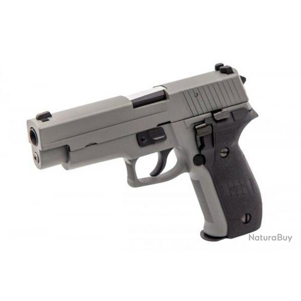 Rplique GBB Raven R226 Gris - PG3132